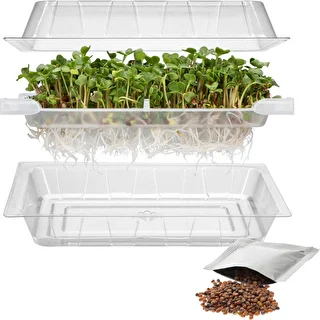 Germinador Zielona Czuprynka com sementes de rabanete