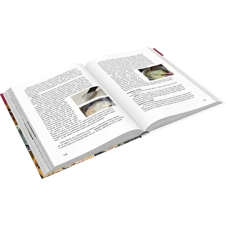 Livro "Szynkowar — Mestre das possibilidades culinárias, Receitas" (livro em polaco) – photo 3