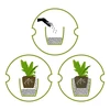 Argila expandida para plantas em vasos, jardinagem e florestas em vidro 10–20 mm, 4L - 12 