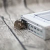 Armadilha de metal para camundongos - armadilha viva - 7 