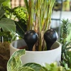 Bola de irrigação para plantas, preta fosca com base cerâmica, 400ml - 9 