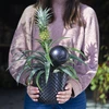 Bola de irrigação para plantas, preta fosca com base cerâmica, 400ml - 11 