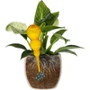 Bola de irrigação tripla (três câmaras), transparente amarela, 600 ml - 3 
