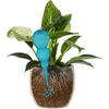 Bola de irrigação tripla (três câmaras), transparente azul, 600 ml - 3 