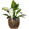 Bola de irrigação tripla (três câmaras), transparente incolor, com base de cerâmica, 600 ml - 3 