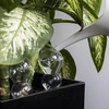 Bola de irrigação tripla (três câmaras), transparente incolor, com base de cerâmica, 600 ml - 7 