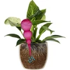 Bola de irrigação tripla (três câmaras), transparente rosa, 600 ml - 3 
