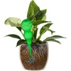Bola de irrigação tripla (três câmaras), verde transparente, 600 ml - 3 