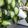 Bola de irrigação tripla (três câmaras), verde transparente com ponta de cerâmica, 600ml - 6 