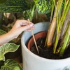 Bolas de irrigação para plantas, brancas translúcidas, 400 ml, 4 peças - 7 