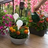Bolas de irrigação para plantas, brancas translúcidas com rolha, 400ml, 4 peças - 9 