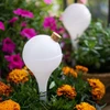 Bolas de irrigação para plantas, brancas translúcidas com rolha, 400ml, 4 peças - 11 