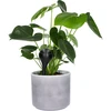 Bolas de irrigação para plantas, pretas foscas, 400 ml, 4 unid. - 6 
