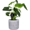 Bolas de irrigação para plantas, pretas foscas, com rolha, 400ml, 4 peças - 7 