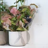 Bolas de irrigação para plantas, pretas foscas, com rolha, 400ml, 4 peças - 10 