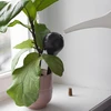 Bolas de irrigação para plantas, pretas foscas, com rolha, 400ml, 4 peças - 12 