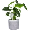 Bolas de irrigação para plantas, transparentes, 400 ml, 2 unid. - 7 