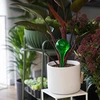 Bolas de irrigação para plantas, verdes transparentes, 400 ml, 2 unid. - 10 