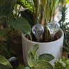 Bolas de irrigação, transparentes, 400 ml, 4 unid. - 8 