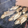 Cavacos para defumação (100% Cereja) cl 2 - 450g X5 - 12 