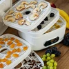 Desidratador para cogumelos, frutas, vegetais e ervas com regulação de temperatura, 240W, branco - 19 