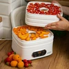 Desidratador para cogumelos, frutas, vegetais e ervas com regulação de temperatura, 240W, branco - 20 