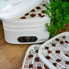 Desidratador para cogumelos, frutas, vegetais e ervas com regulação de temperatura, 240W, branco - 22 