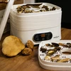 Desidratador para cogumelos, frutas, vegetais e ervas com regulação de temperatura, 240W, branco - 17 