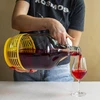 Enovini® OK RED - fermento para vinho que reduz acidez 7 g - 10 