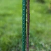 Estaca de aço revestida de PE 0,8m x 8mm - 3 