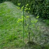 Estaca de aço revestida de PE 0,8m x 8mm - 6 