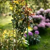 Estaca de aço revestida de PE 0,8m x 8mm - 4 