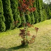 Estaca de aço revestida de PE 0,8m x 8mm - 5 