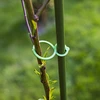 Fechos plásticos para amarrar plantas, mix de 50 unid. - 7 