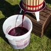 Fermento para vinho Burgund sem multiplicação, 20 ml - 4 