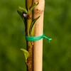 Fio de jardinagem plano, revestido em PVC 50m x 2mm - 2 