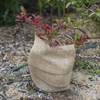 Fita de juta 10 cm/5 m - 6 