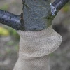 Fita de juta 10 cm/5 m - 7 