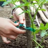 Fita para amarrar plantas PVC, 1,2 cm x 40m - 4 