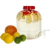 Frasco multifuncional com torneirinha 8L - 10 