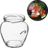Frasco TO Ânfora 580 ml com tampa colorida fi82/6-6un. - 12 