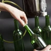 Garrafa de vinho 0,75L com rolhas e cápsulas - 12 unid. - 8 