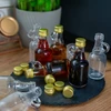 Garrafa Galonik 40ml com tampa - 10un. - 5 