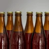 Garrafa para cerveja 0,5 L - pacote de 8 unidades - 5 