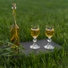 Garrafa para licor 100 ml 6 unid. + 6 rolhas - 11 