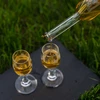 Garrafa para licor 100 ml 6 unid. + 6 rolhas - 9 