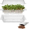 Germinador Cabelos Verdes com sementes de rabanete - 6 