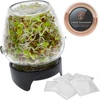 Germinador de pote Twist-off + 5 pacotes de sementes - 3 