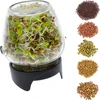 Germinador de pote Twist-off + 5 pacotes de sementes - 2 