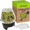 Germinador de pote Twist-off + 5 pacotes de sementes - 5 
